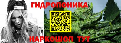 не бодяженный Кингисепп
