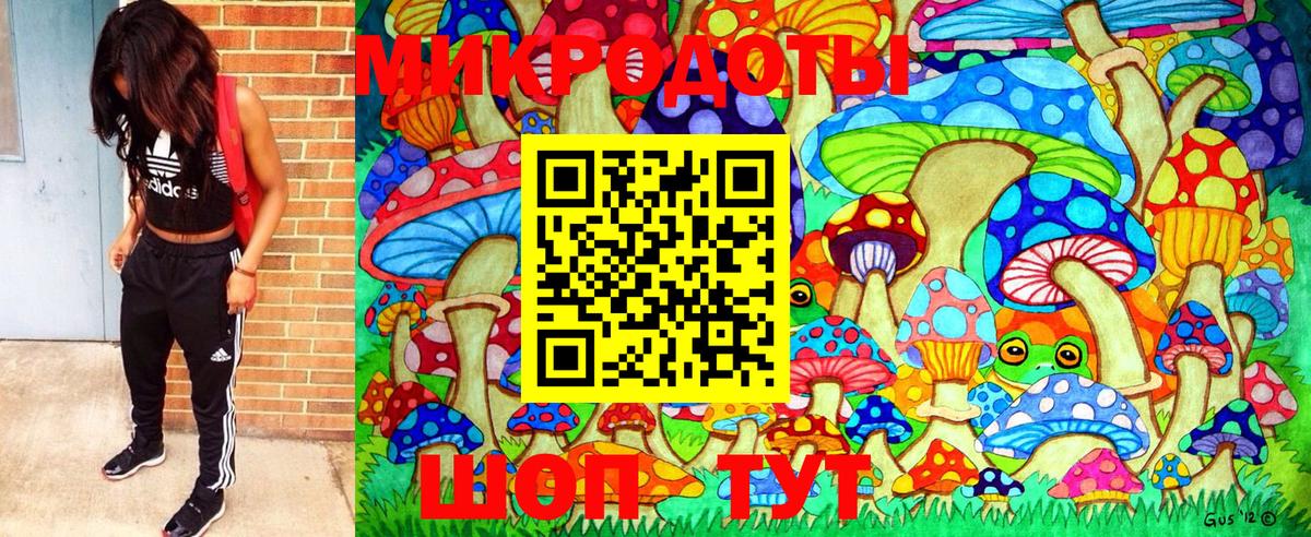Галлюциногенные грибы мицелий  как найти закладки  Кизляр  Вход с VPN  Галлюциногенные грибы Psilocybine cubensis 
