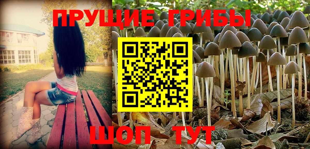 Галлюциногенные грибы мицелий Кизляр